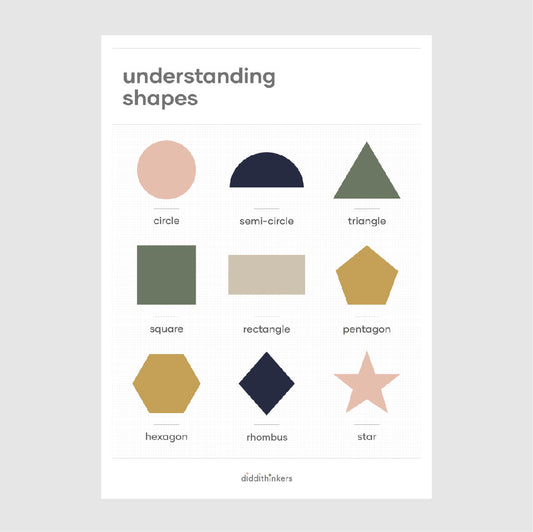 understanding shapes